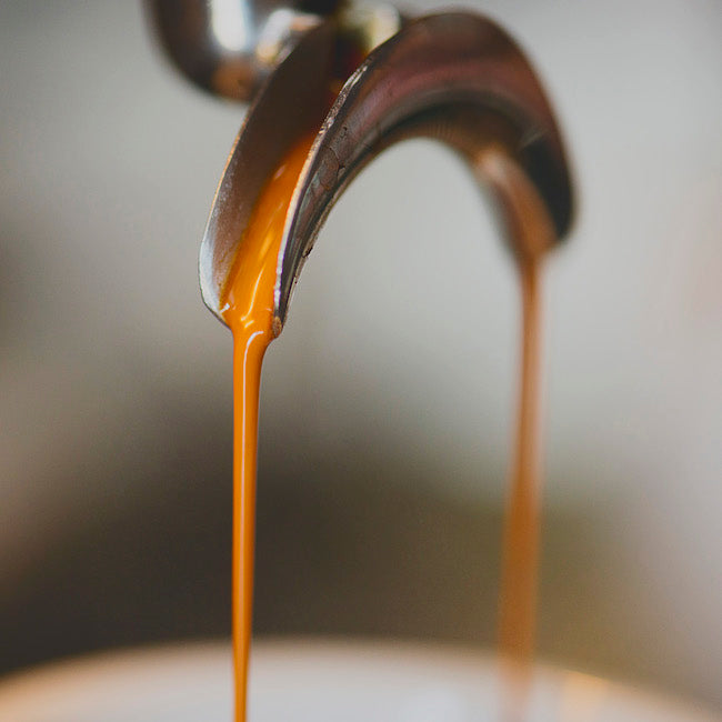 Closeup espresso shot pouring from portafilter